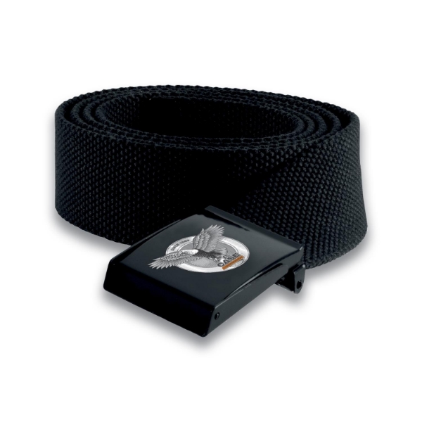 Picture of POWER ABE BELT