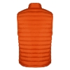 Picture of Bodywarmer